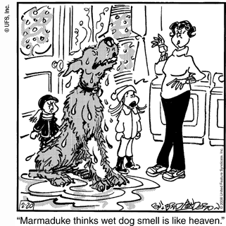 marmaduke